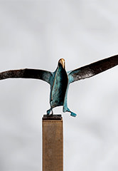 Een albatros odyssee: 1. De reis begint